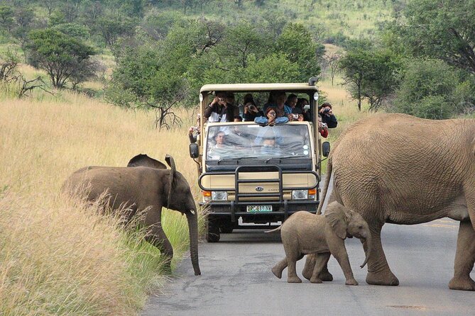 South Africa Adventure Including Pilanesberg