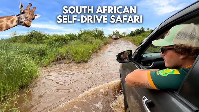 South Africa Highlights with Kruger National Park | Self-Drive Experience