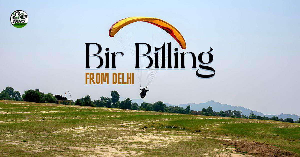Experience the Ultimate Adventure in Bir Billing