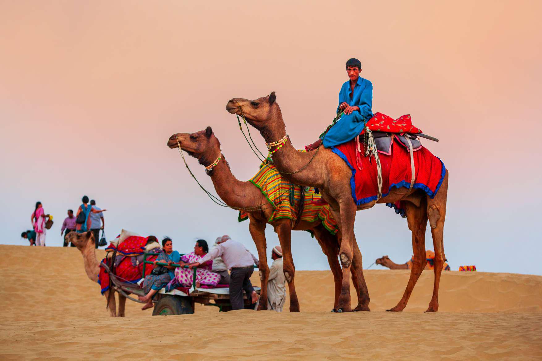 Jaipur, Ajmer & Pushkar | Complimentary Camel Ride Tickets