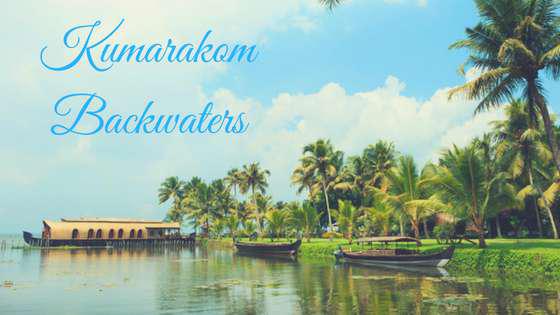 Kerala’s Nature Circuit | Munnar • Thekkady • Kumarakom