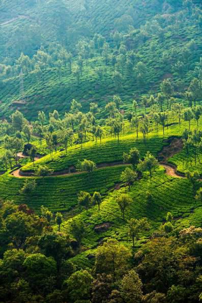Kerala Unveiled | A Scenic Passage Through Hills and Shores