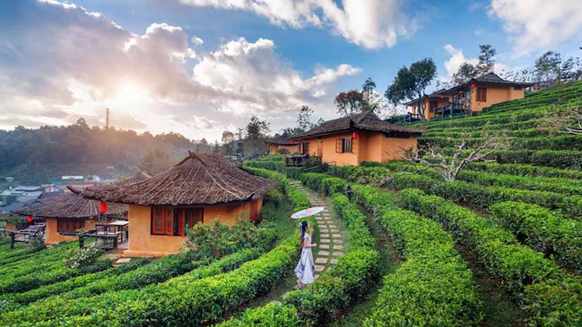 6-Day Cultural & Scenic Tour of Nagaland & Manipur