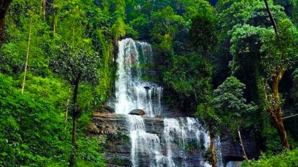 Scenic Escape to Chikmagalur & Bangalore with a Complimentary Visit to Jhari Waterfalls